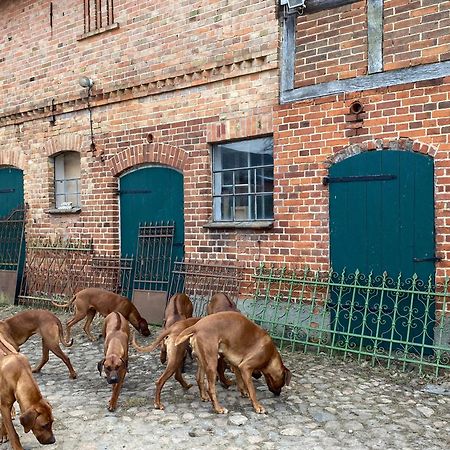 Bauernhof-Streichel-Zoo-Kombi-Familien-Suite-Im-Wald-Am-See Gulow 外观 照片