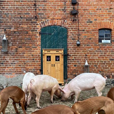 Bauernhof-Streichel-Zoo-Kombi-Familien-Suite-Im-Wald-Am-See Gulow 外观 照片
